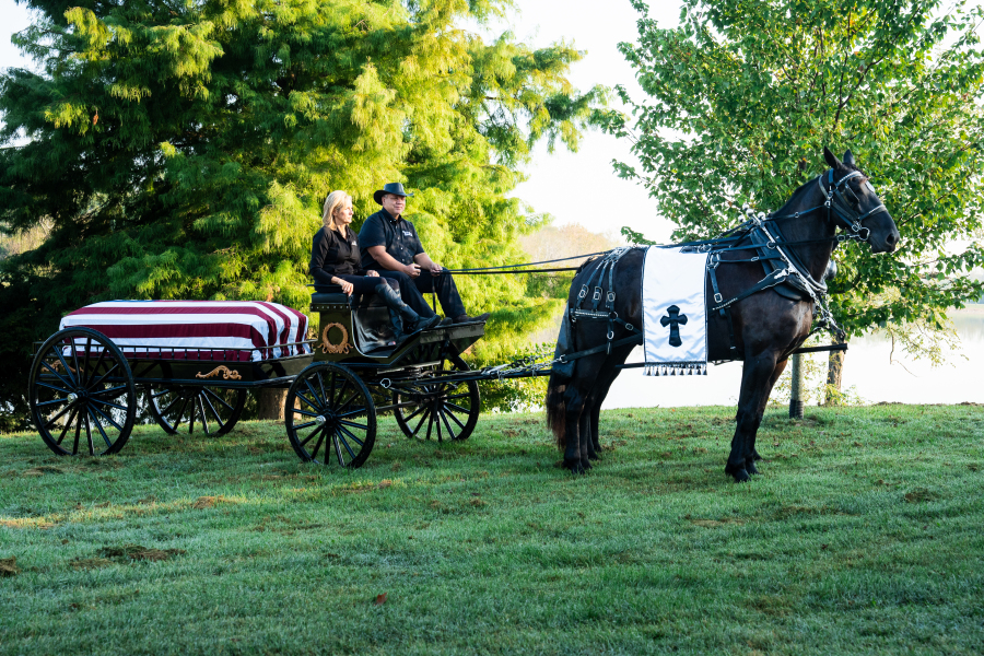 Friesian Horse Caisson Procession at Queenslake